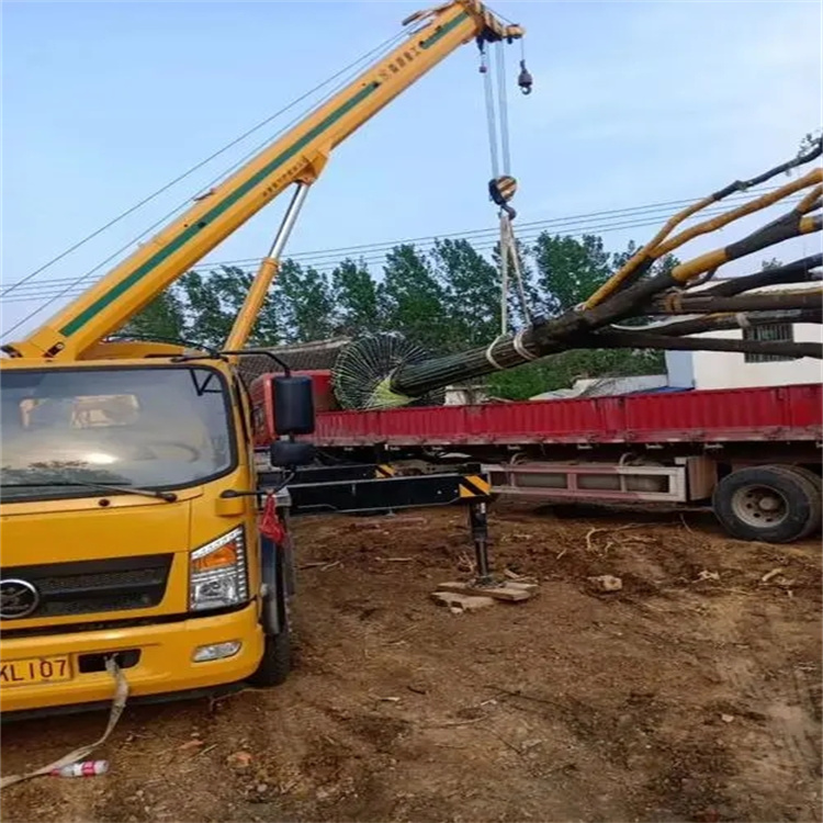 横林镇100吨吊车租赁费用怎么算？3大关键因素+省钱技巧全解析